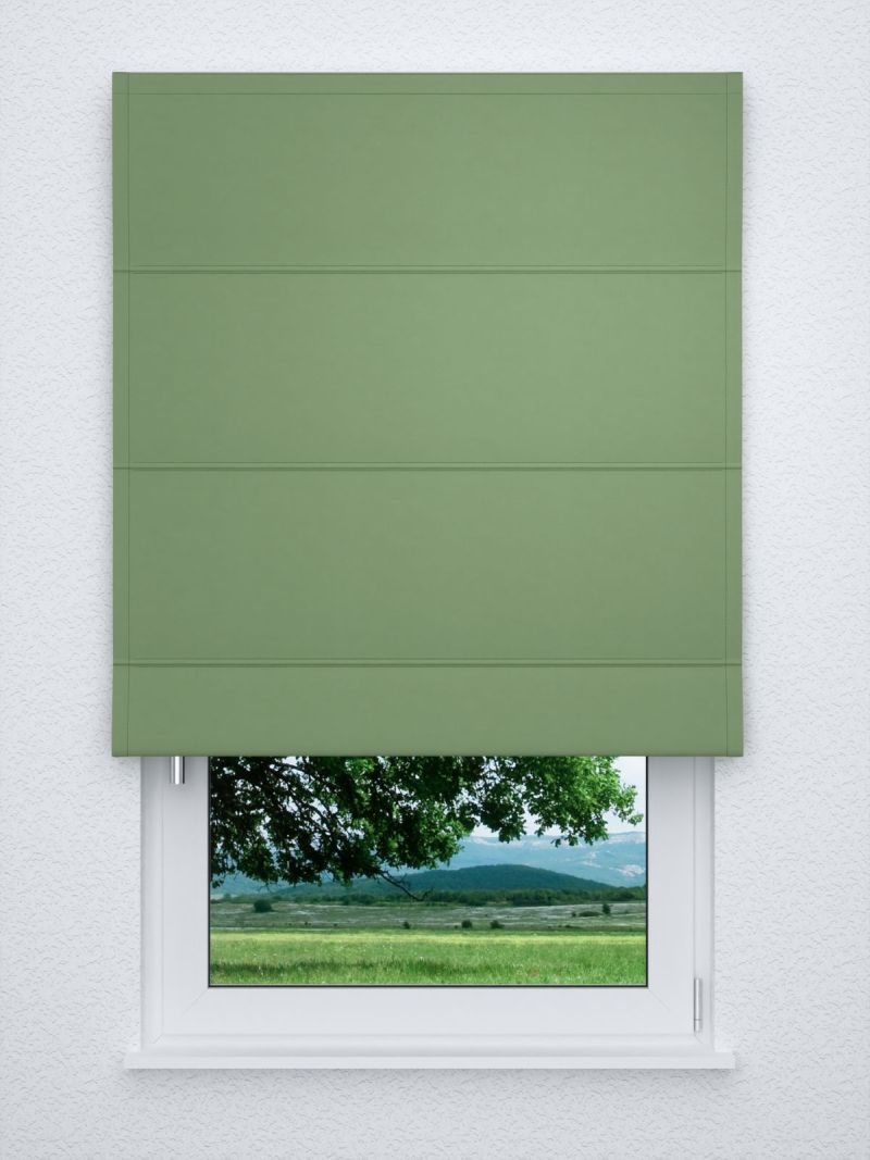 Raffrollo classic in Grün