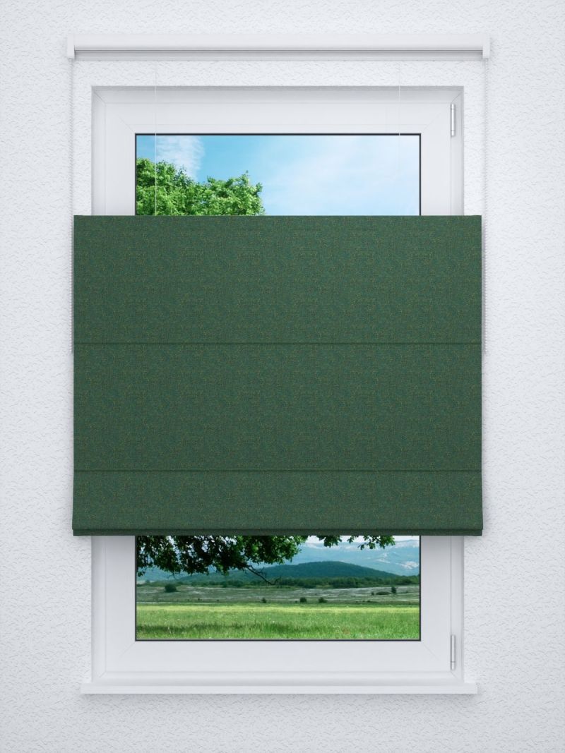 Raffrollo professional in grün