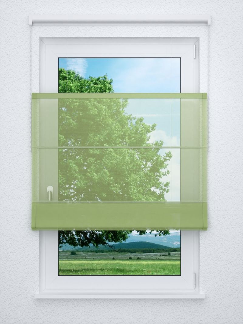 Raffrollo professional in Grün