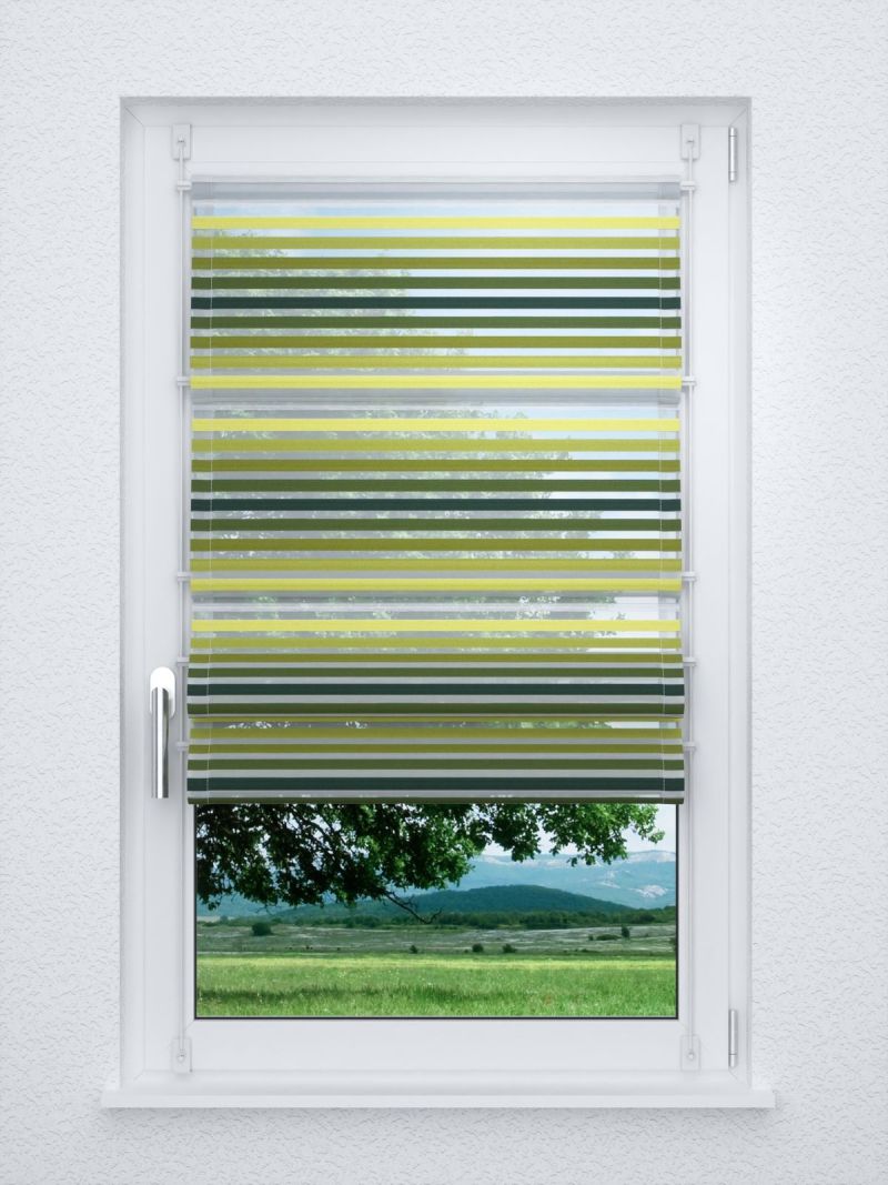 Raffrollo smart in grün