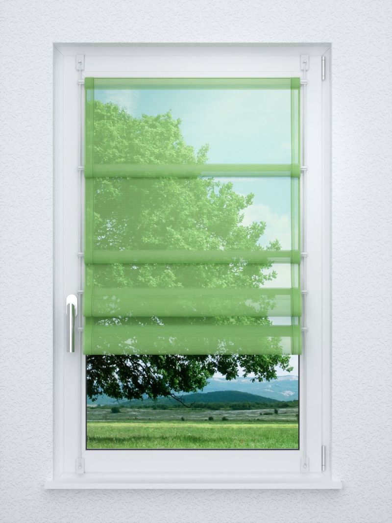 Raffrollo smart in Grün