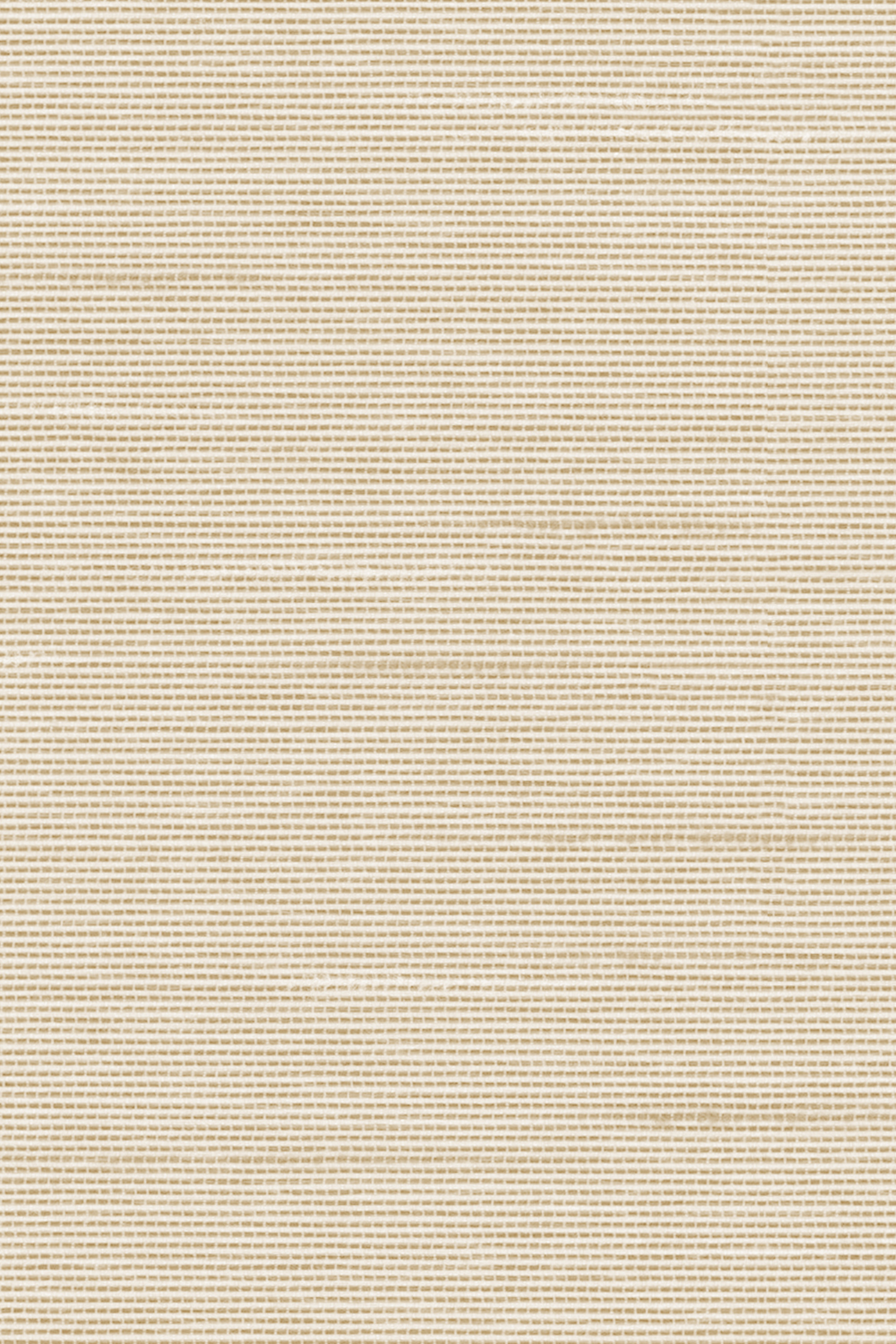 Detailansicht Lamelle Bacoli 2002.1165