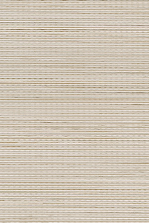 Preview Noppe 2004.1022 5