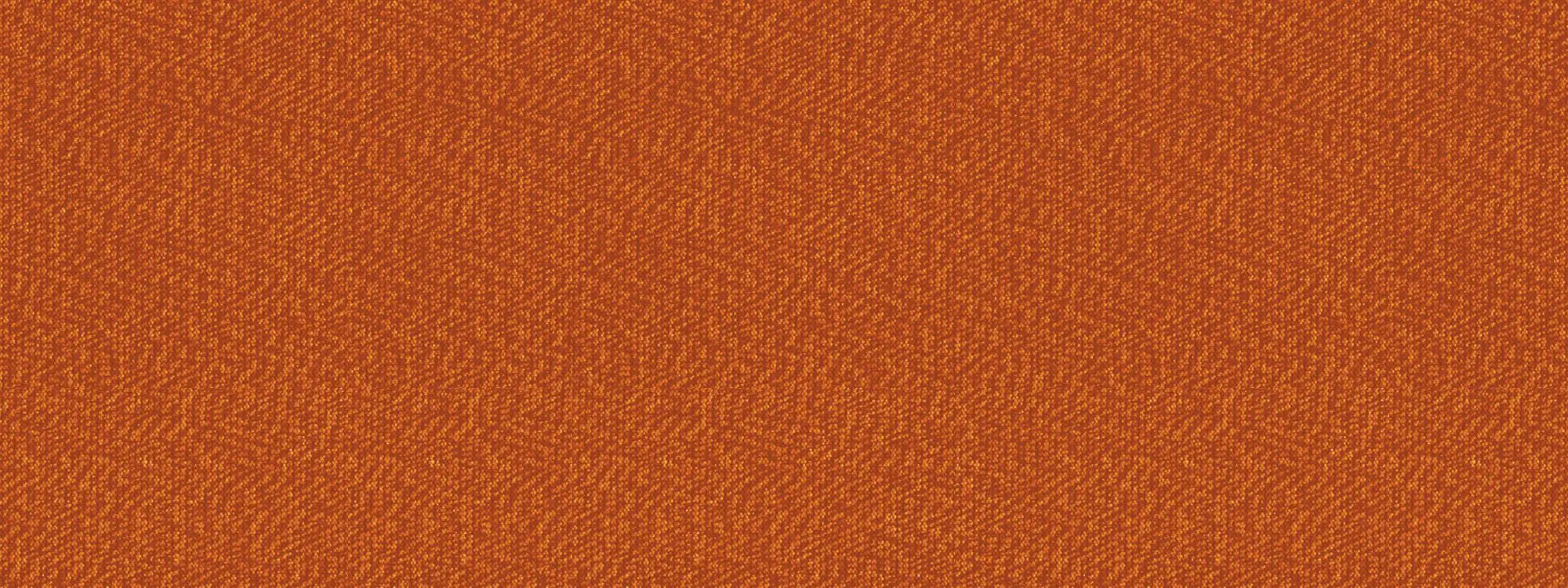 Detailansicht Markise Maggese G267