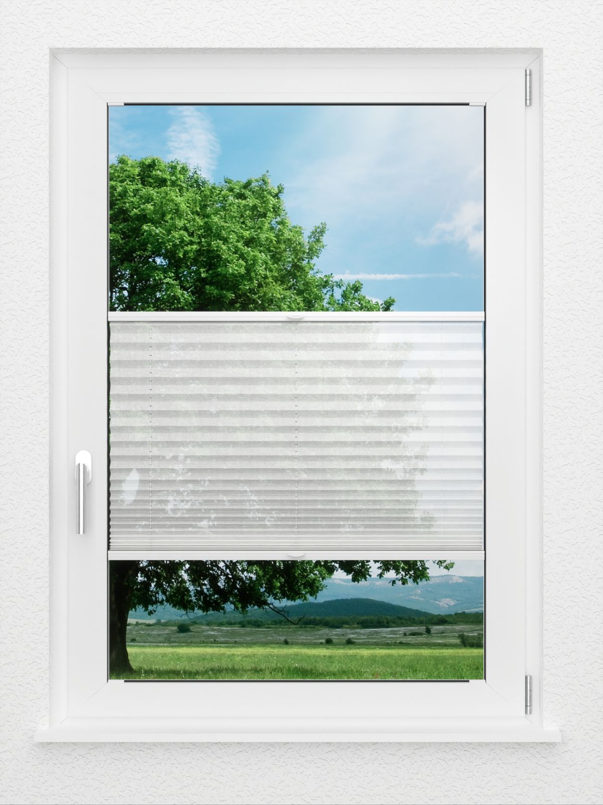 Detailansicht LYSEL HOME Plissee 118A Nohr