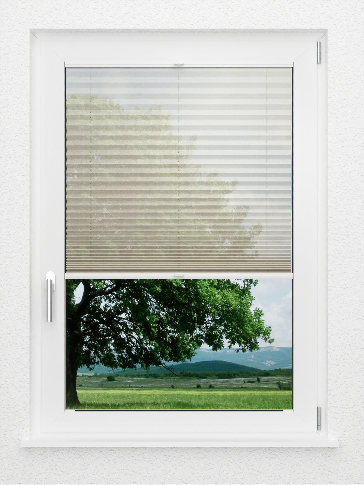 Detailansicht LYSEL HOME Plissee 110A Nohr