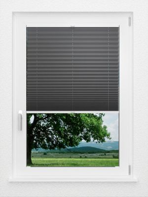 Preview LYSEL HOME Plissee 233A Elva Krepp 1