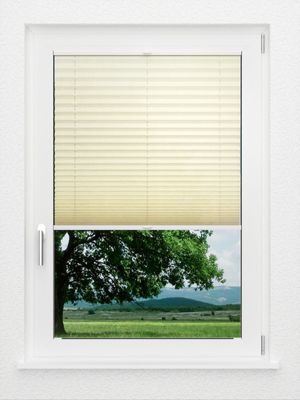 Preview LYSEL HOME Plissee 107A Alva Crush 1