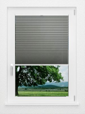 Preview LYSEL HOME Plissee 109A Alva Crush 1