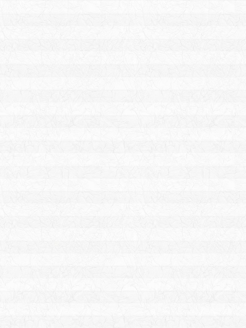 Preview LYSEL HOME Plissee 104A Alva Crush 3