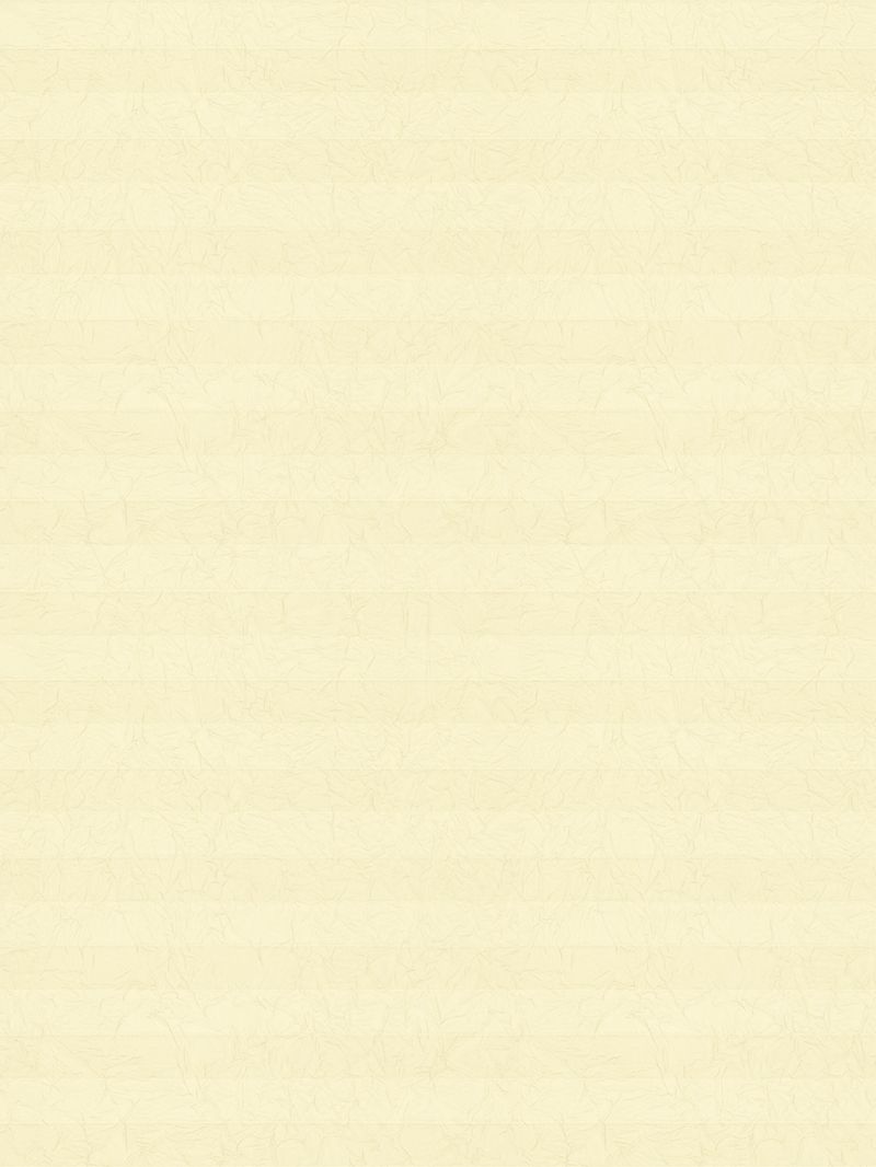 Preview LYSEL HOME Plissee 107A Alva Crush 3