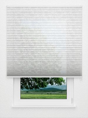 Preview Florence 1041vs 3